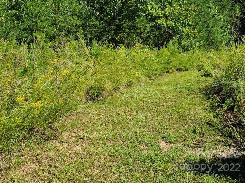 00 Rock Ledge Drive #305 - Photo 27