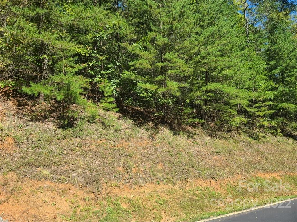 00 Rock Ledge Drive #305 - Photo 6