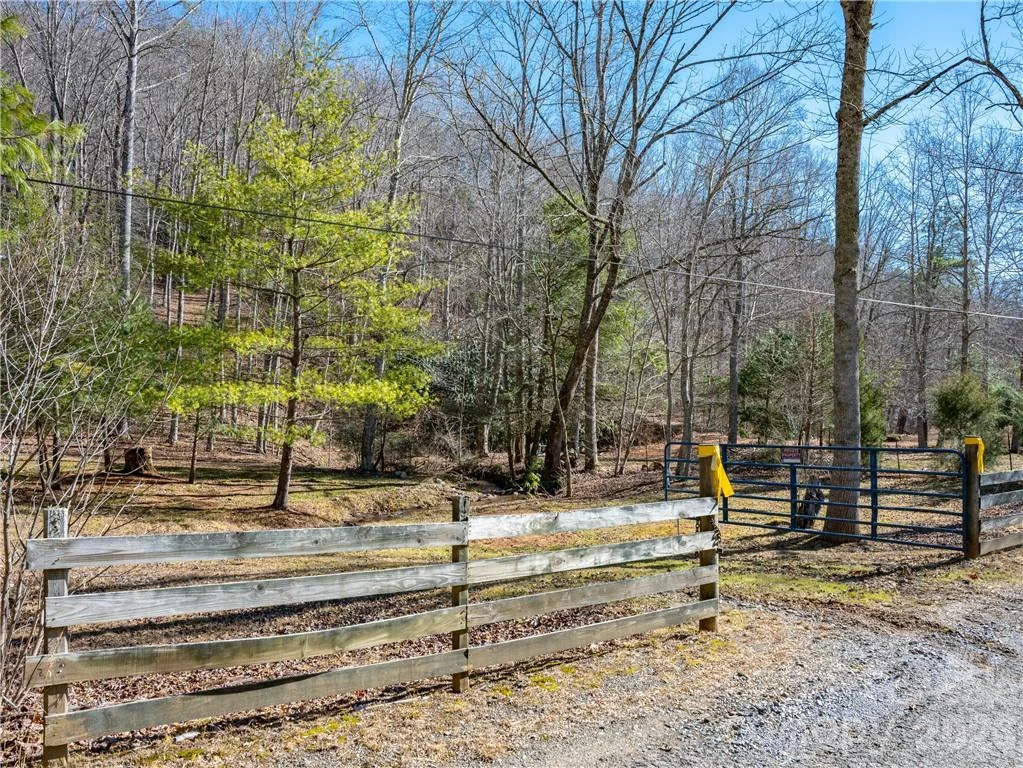 TBD Long Branch Road - Photo 2