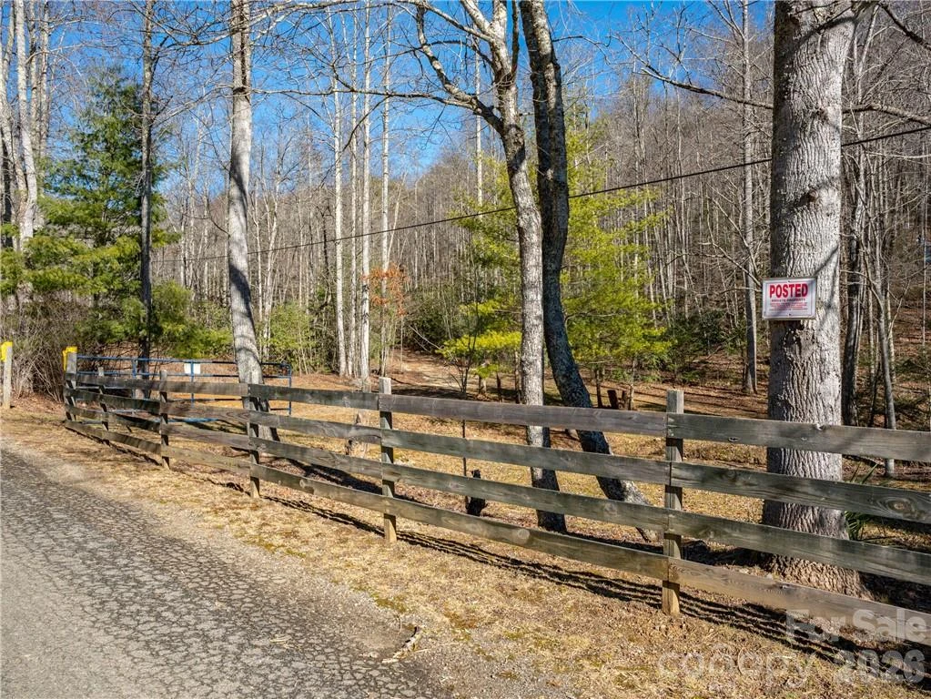 TBD Long Branch Road - Photo 3