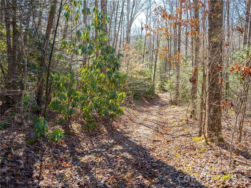 TBD Long Branch Road - Photo 11