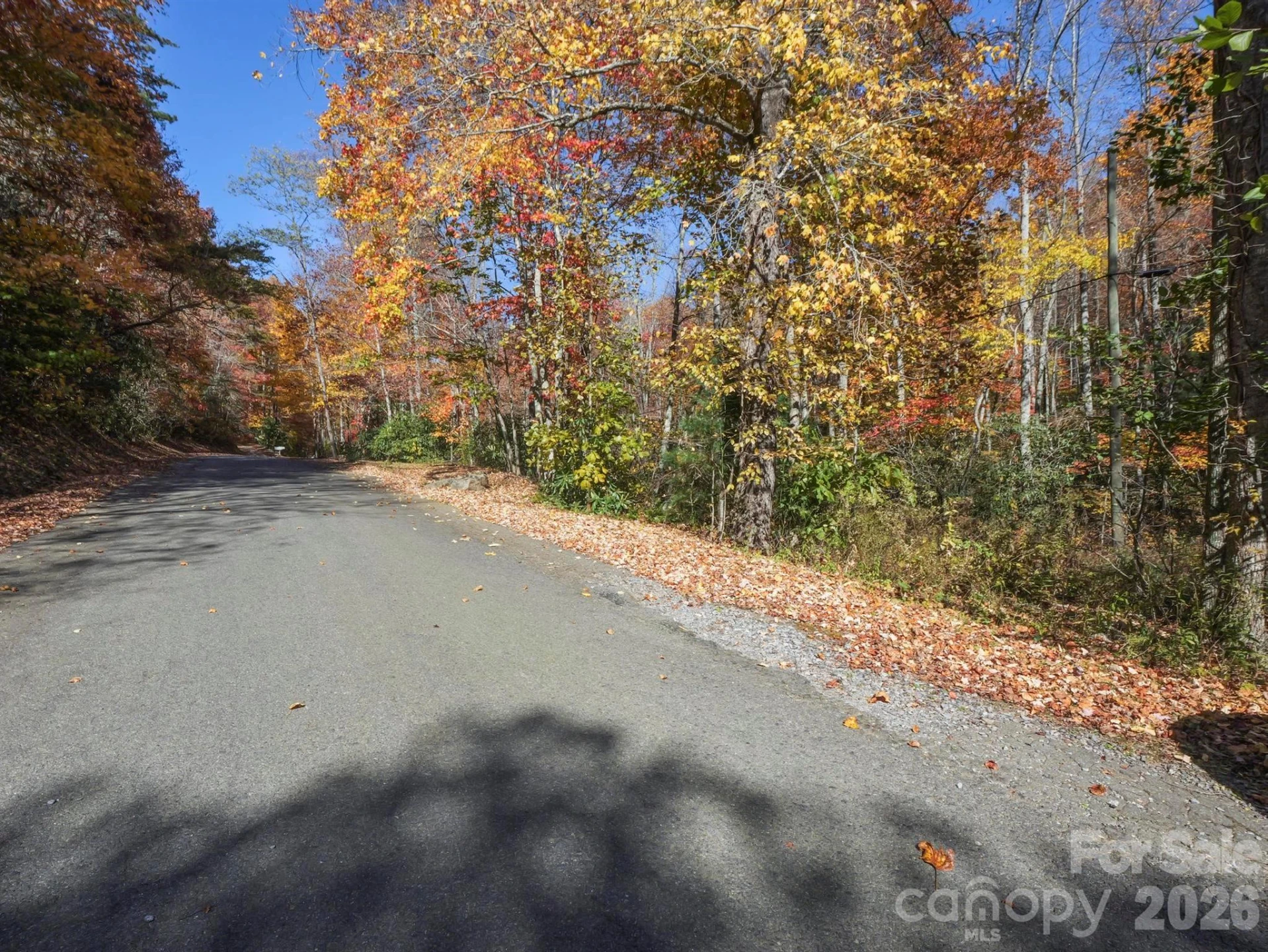 TBD Long Branch Road - Photo 12