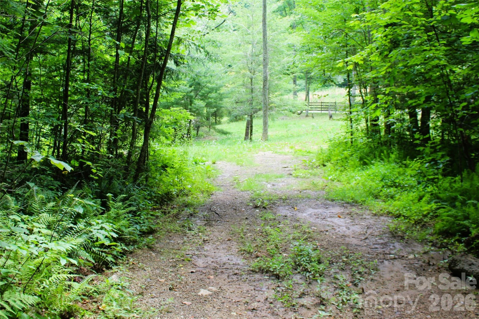 TBD Long Branch Road - Photo 15