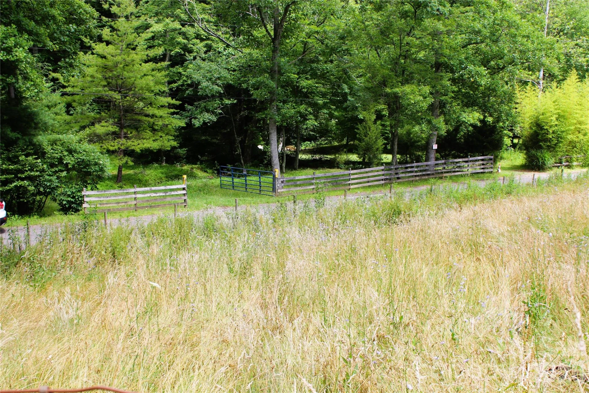 TBD Long Branch Road - Photo 17