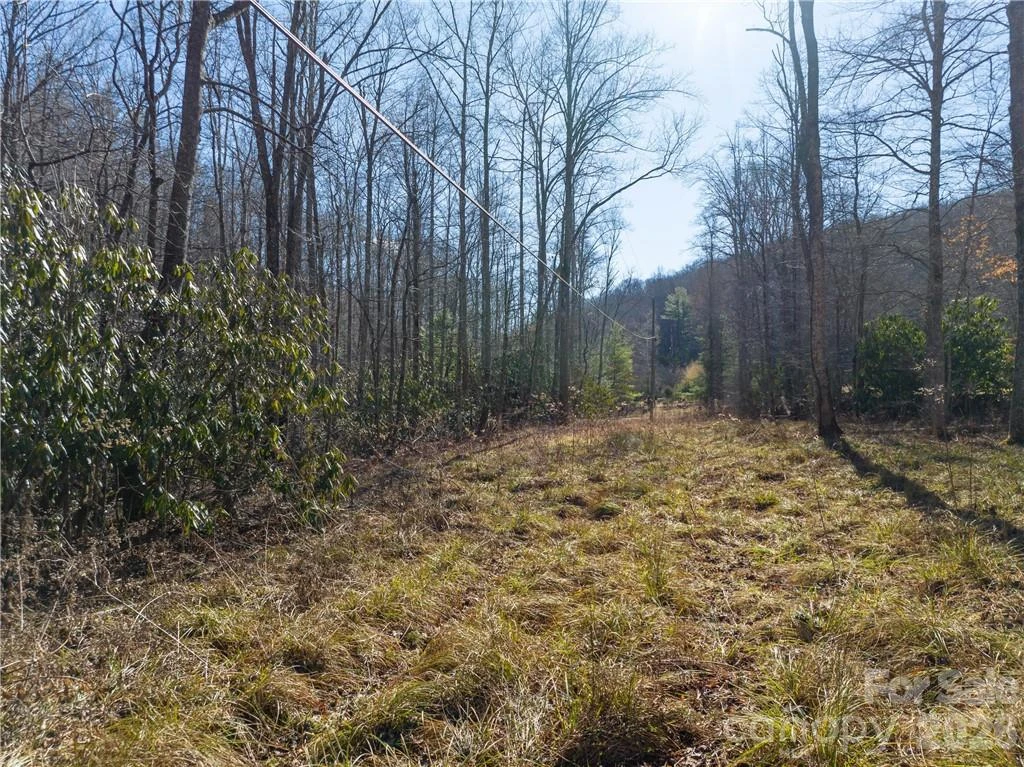 TBD Long Branch Road - Photo 8