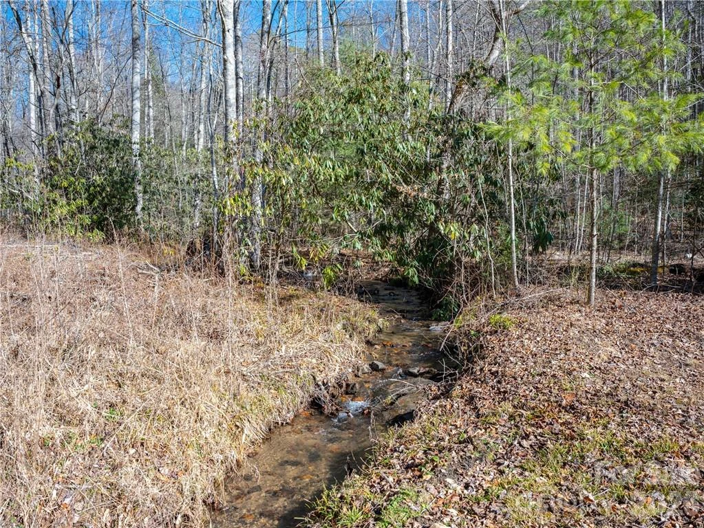 TBD Long Branch Road - Photo 9