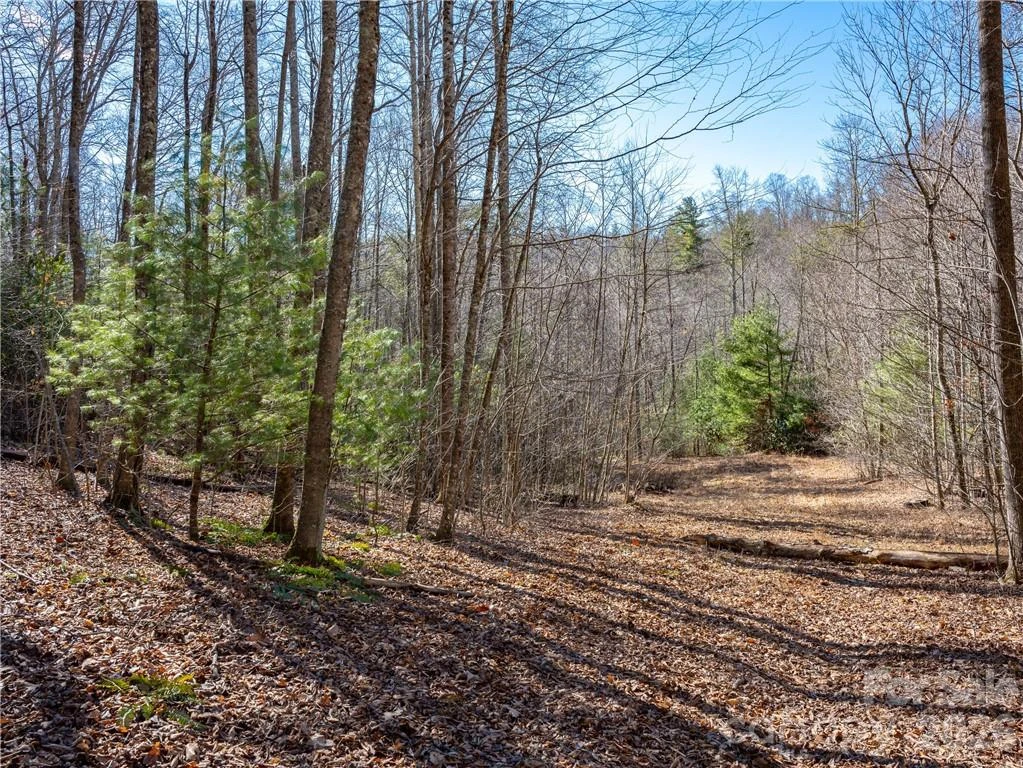 TBD Long Branch Road - Photo 10