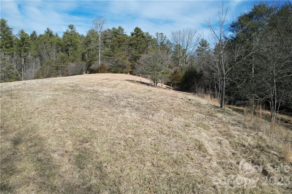 36 Stockton Branch Road - Photo 3
