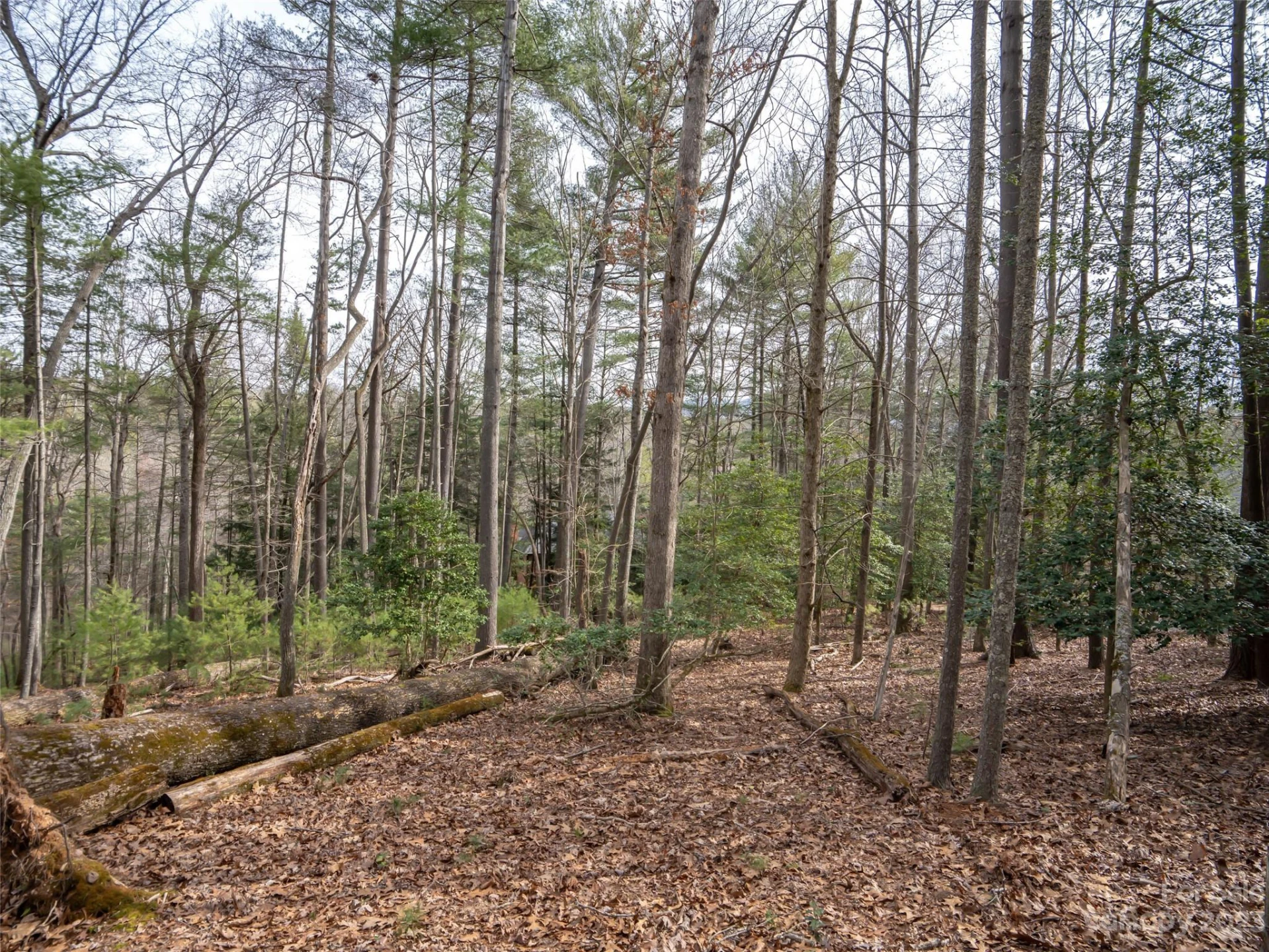 9999 Cedar Hill Drive #12 - Photo 11