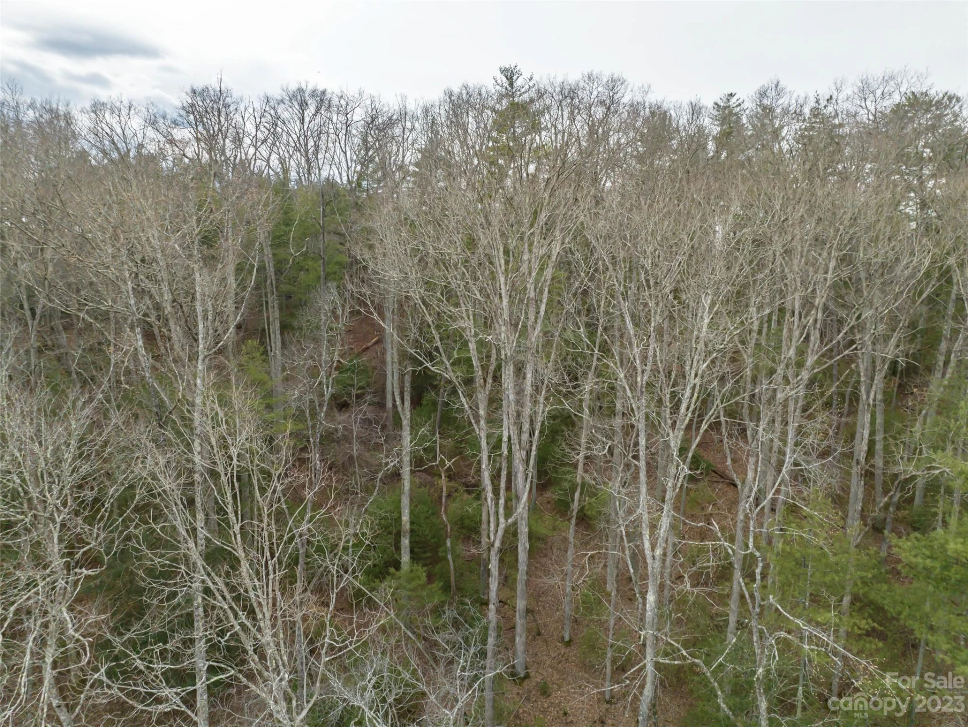 9999 Cedar Hill Drive #12 - Photo 31