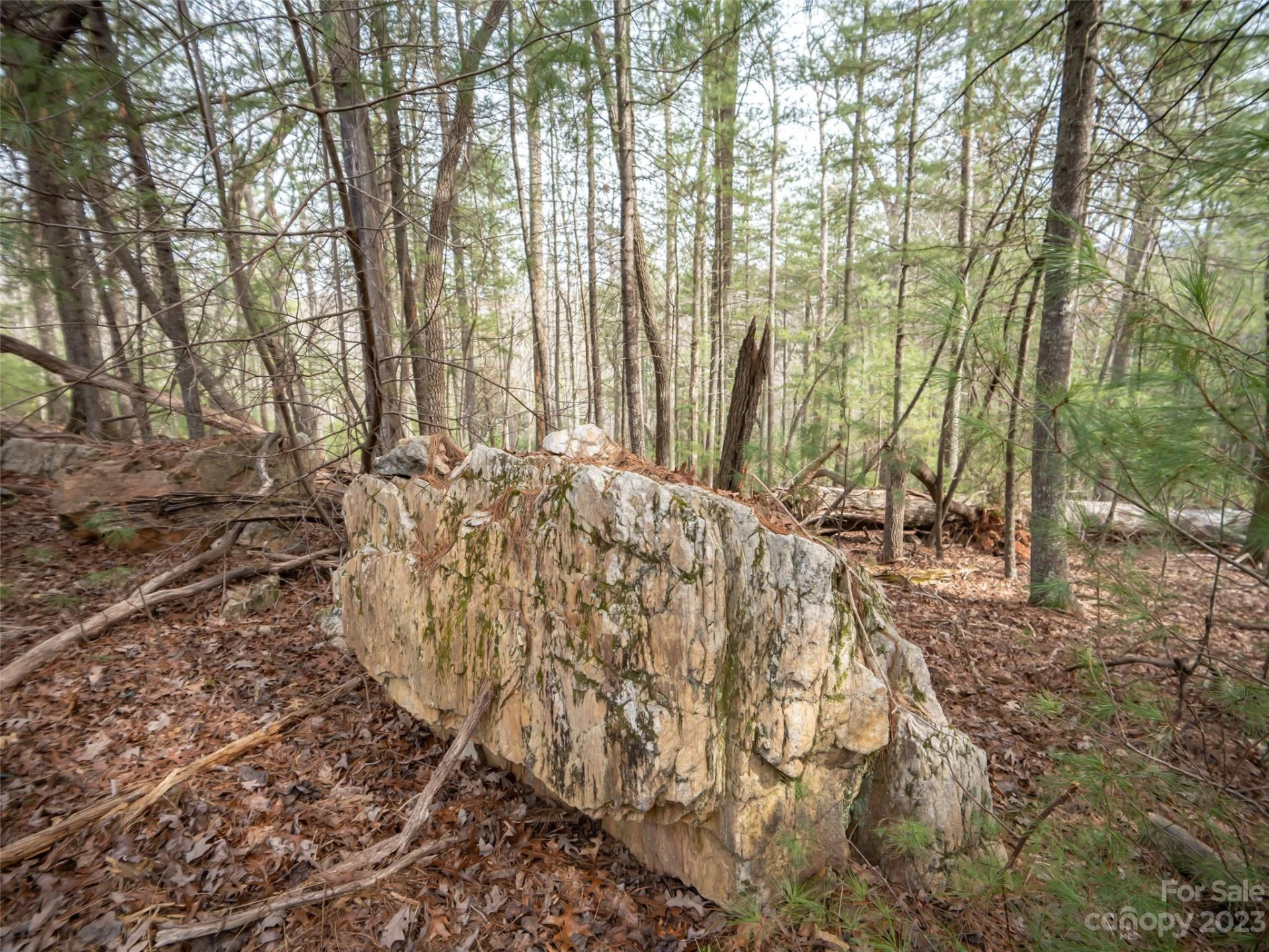 9999 Cedar Hill Drive #12 - Photo 7