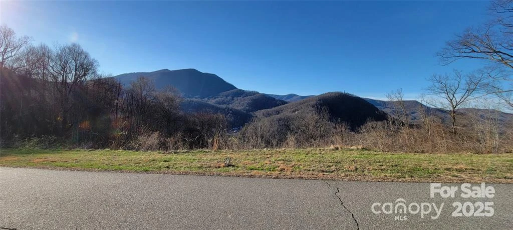 35 Rons Ridge - Photo 2