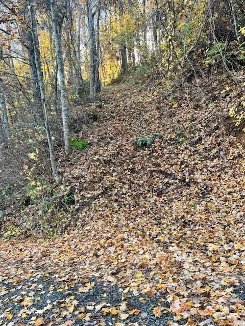 0 Whispering Winds Road - Photo 3