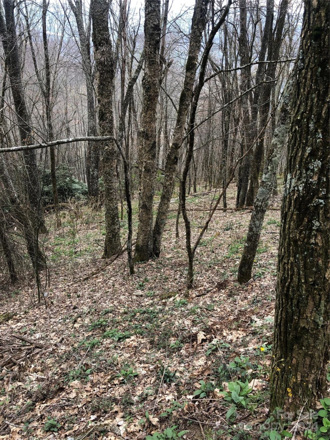 Lot 18 Quail Ridge Drive - Photo 12
