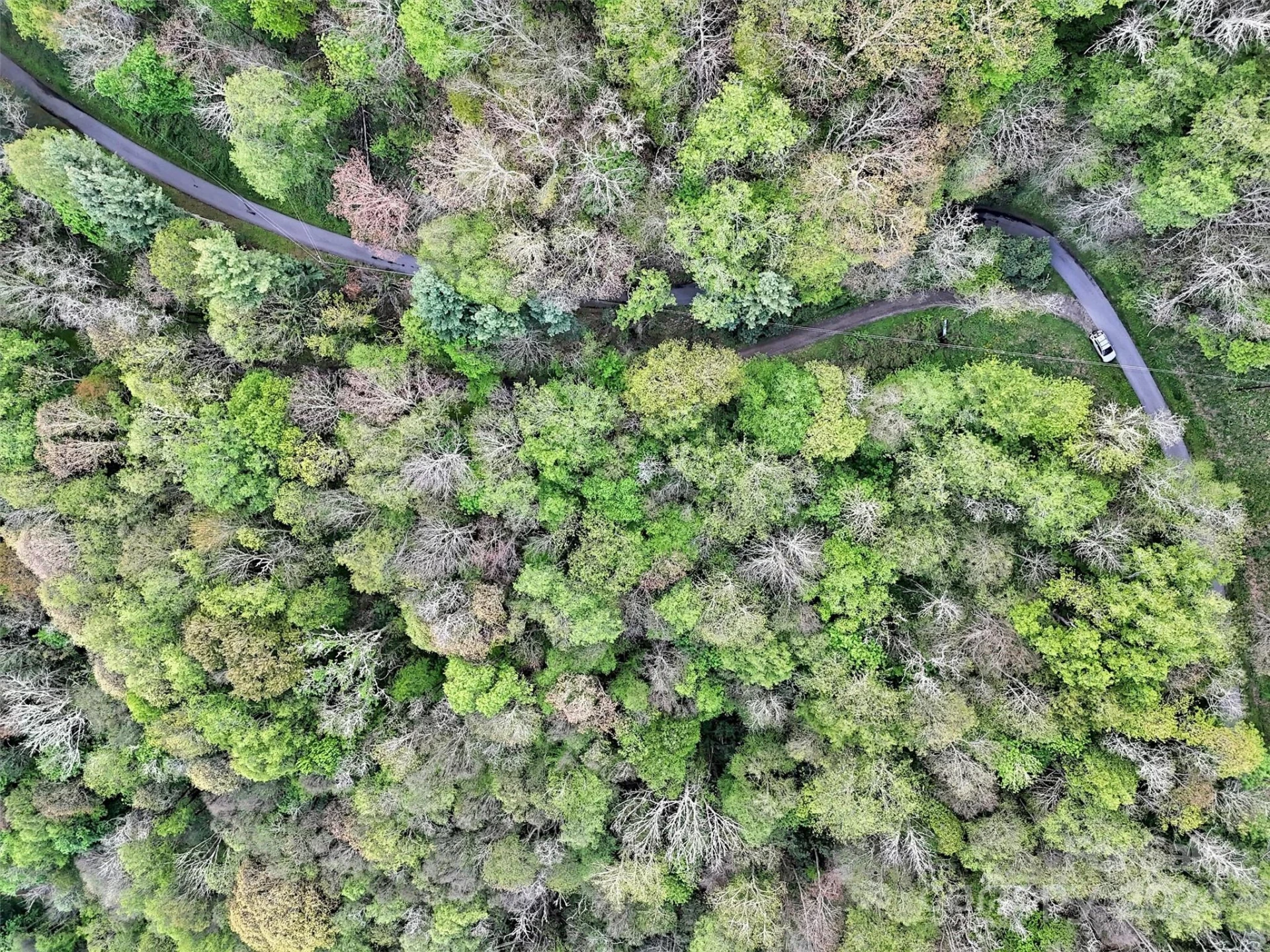 Lot 18 Quail Ridge Drive - Photo 18