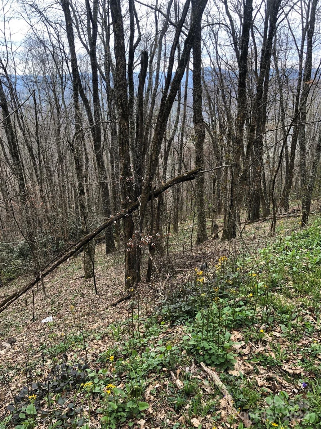Lot 18 Quail Ridge Drive - Photo 7