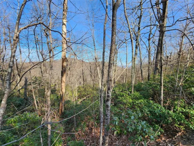 Lot 22 Sunset Ridge Drive, Columbus, NC, 28722