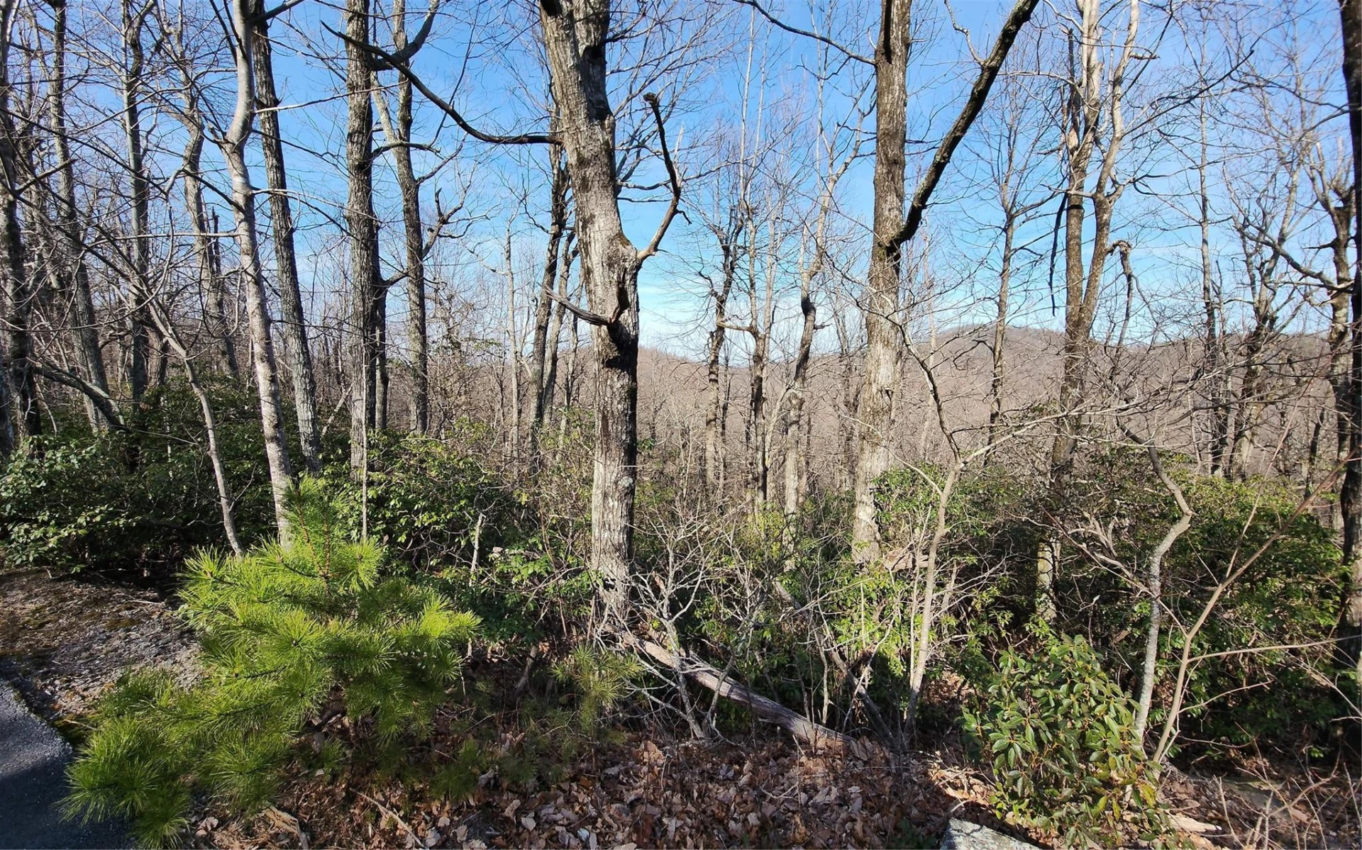 Lot 22 Sunset Ridge Drive #22 - Photo 11