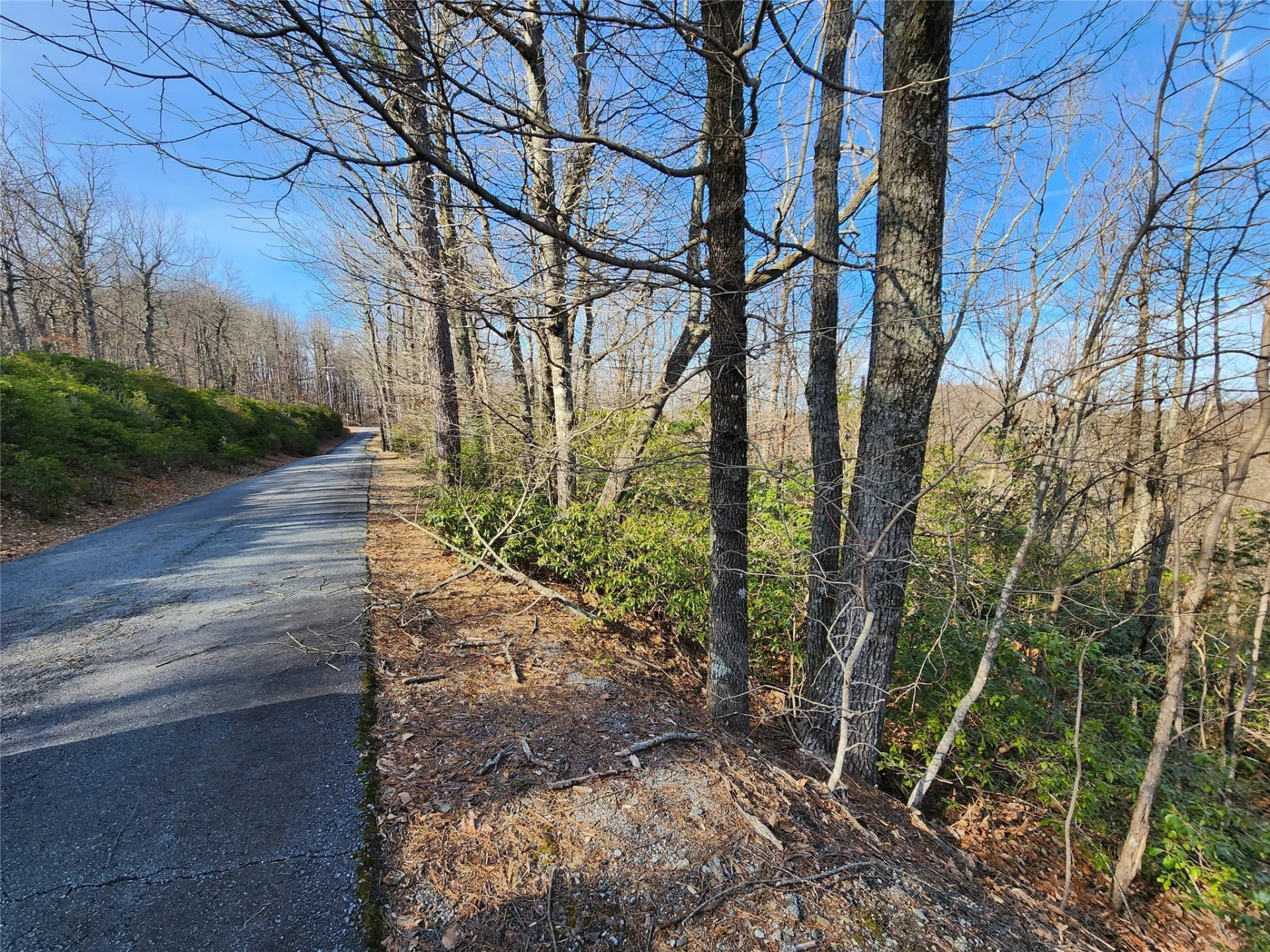 Lot 22 Sunset Ridge Drive #22 - Photo 6