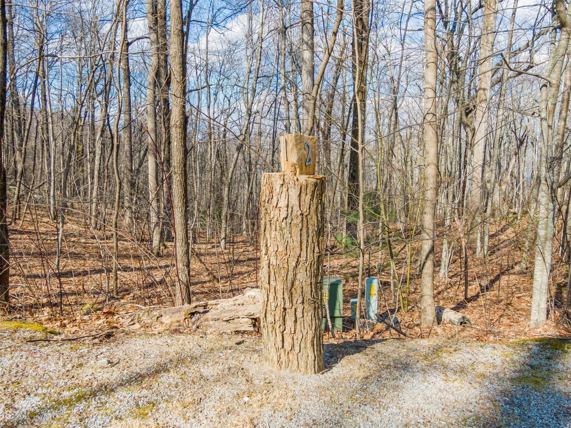P 1&2 Panther Summit Drive - Photo 2