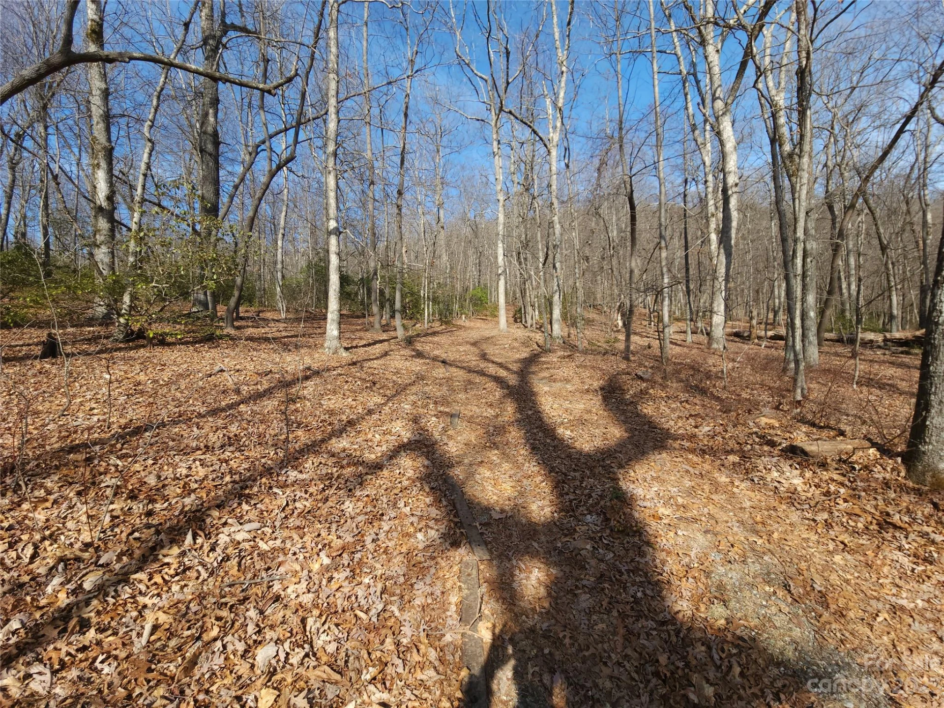 Lot 77 Three Bridges Drive - Photo 15