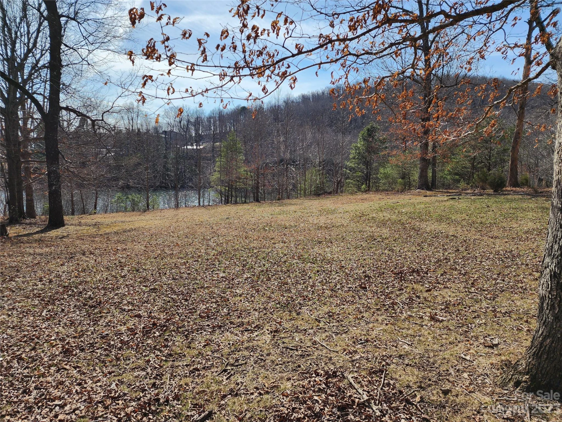 Lot 77 Three Bridges Drive - Photo 5