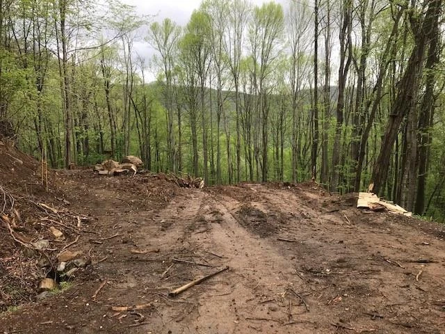 976 Slippery Rock Road - Photo 6