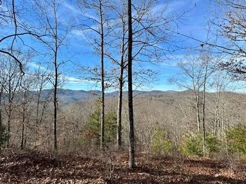 305 Raccoon Run
