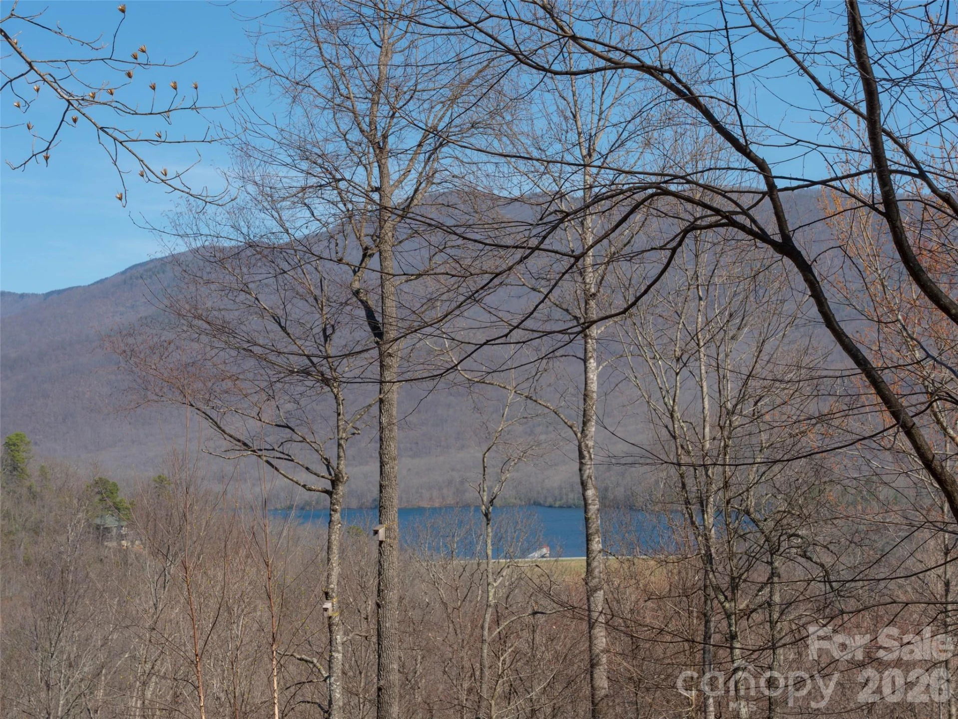 26 Great Aspen Way - Photo 2