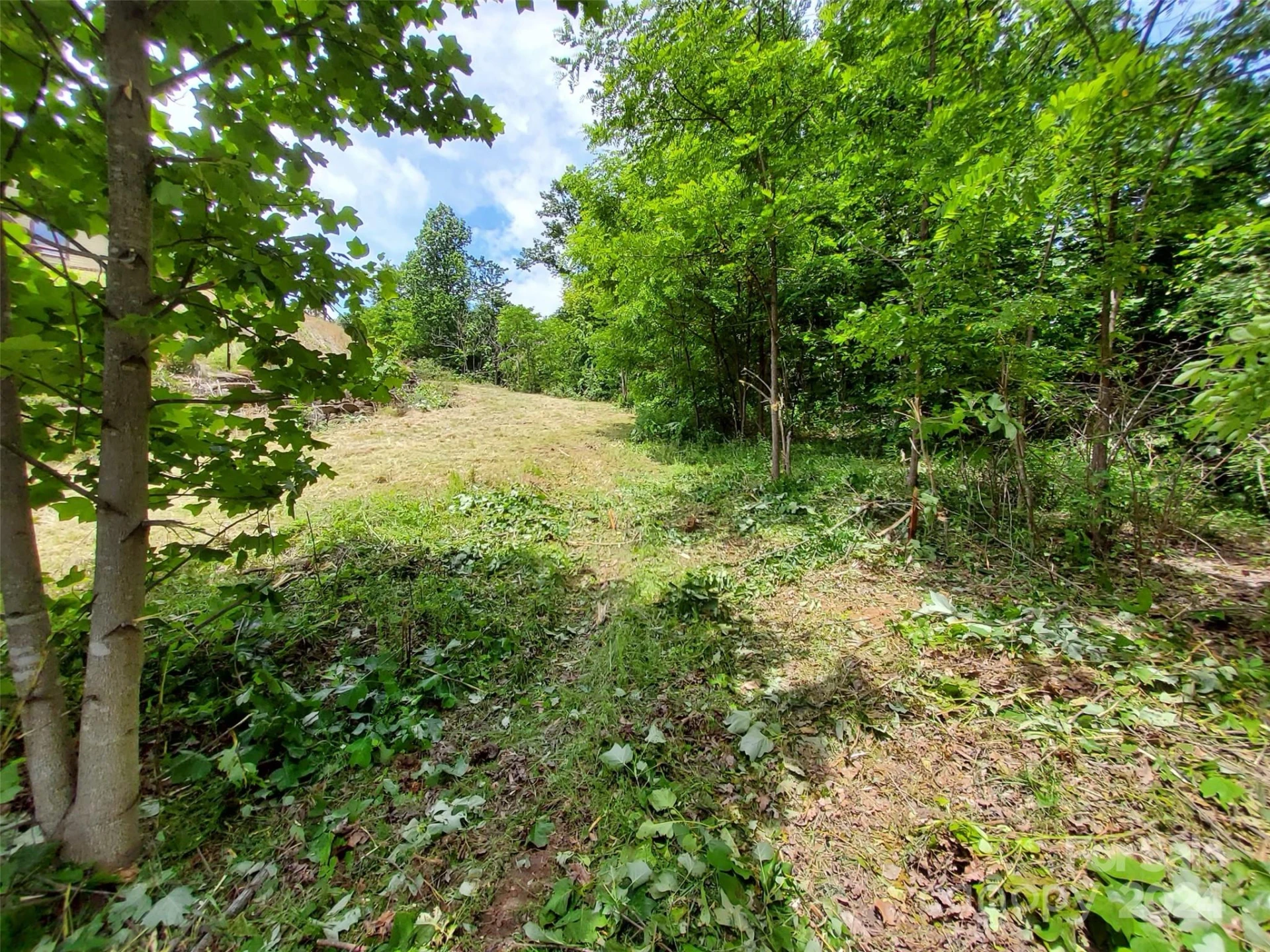 0 Bear Cliff Way #14 - Photo 20