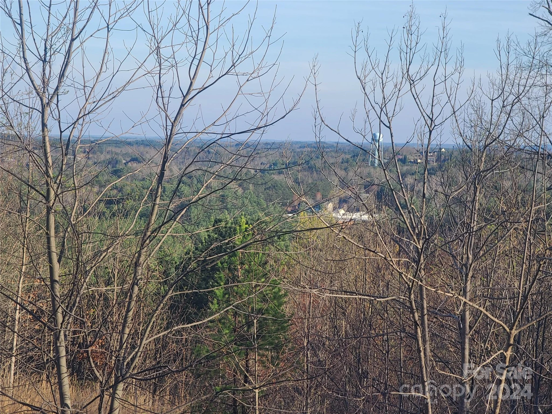 0 Bear Cliff Way #14 - Photo 30
