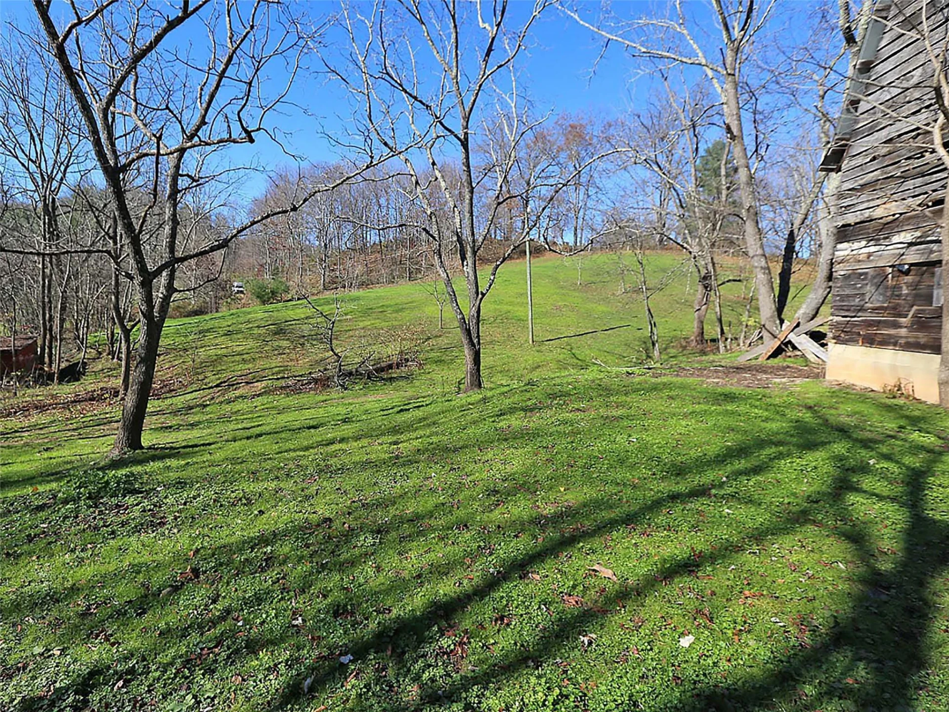 000 Russ Avenue - Photo 2