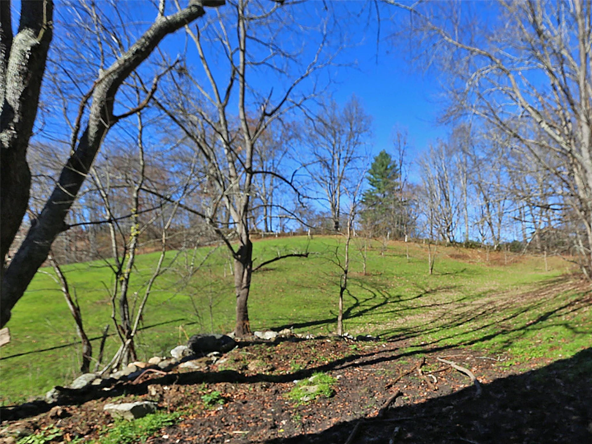000 Russ Avenue - Photo 7