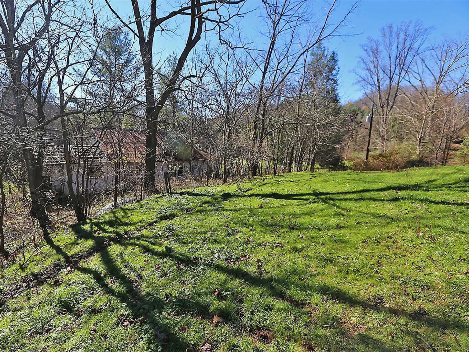 000 Russ Avenue - Photo 8