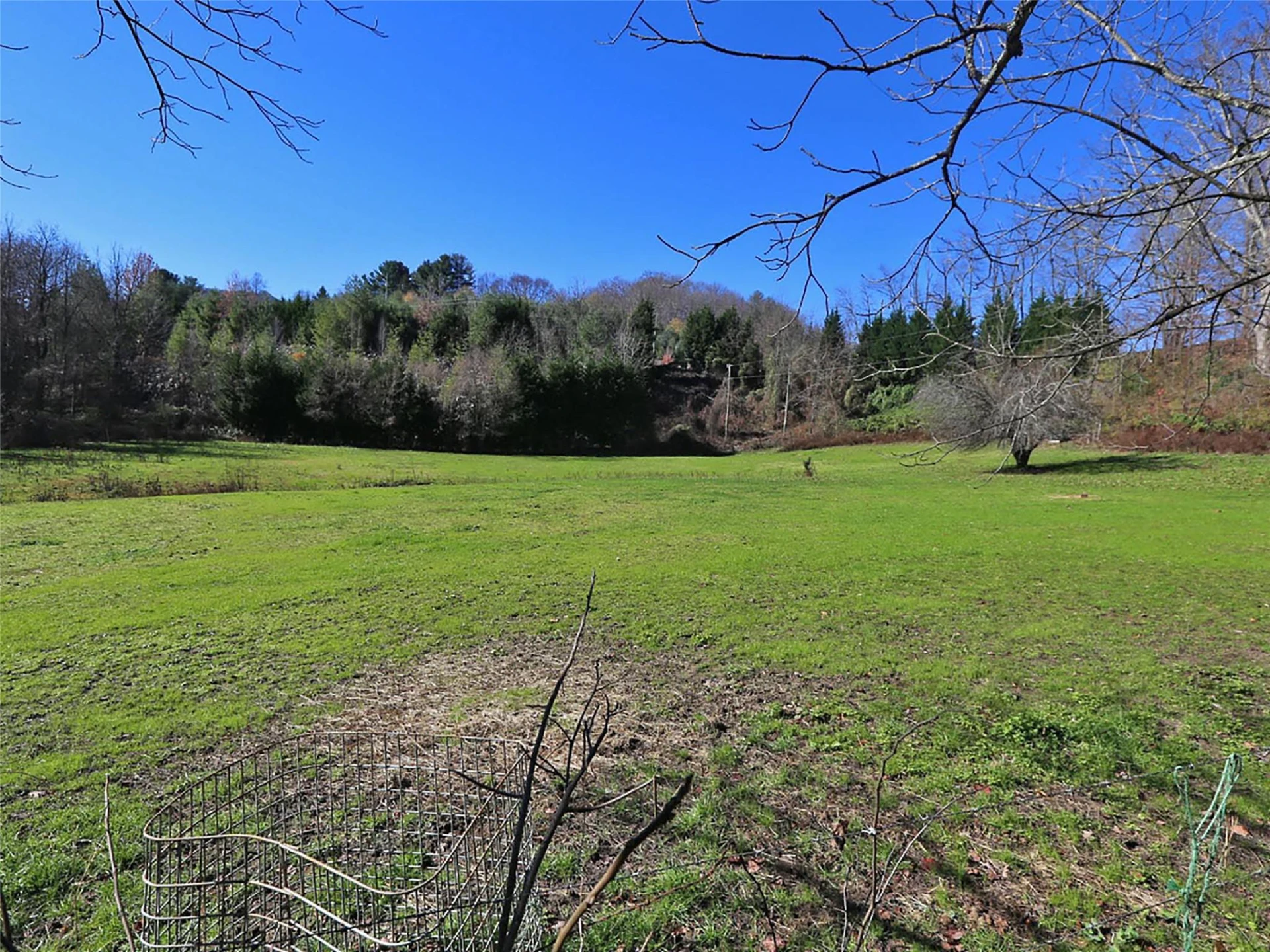 000 Russ Avenue - Photo 11