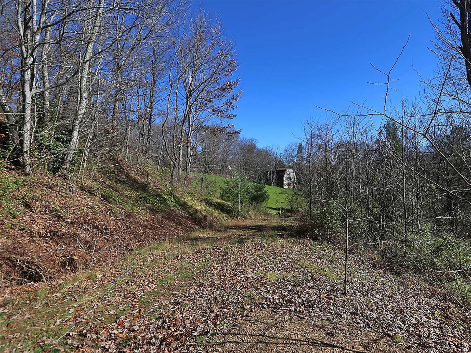 000 Russ Avenue - Photo 12