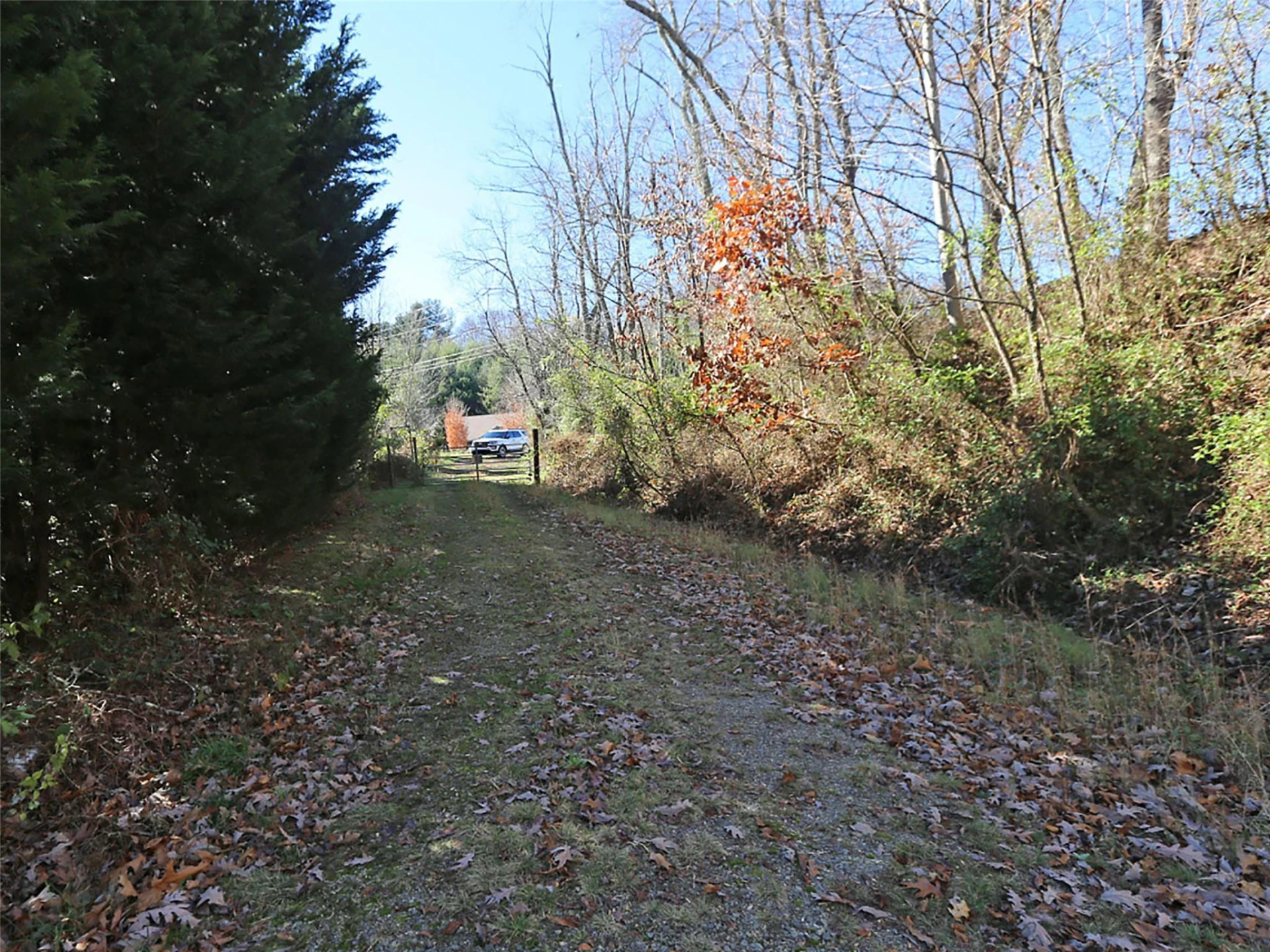 000 Russ Avenue - Photo 13