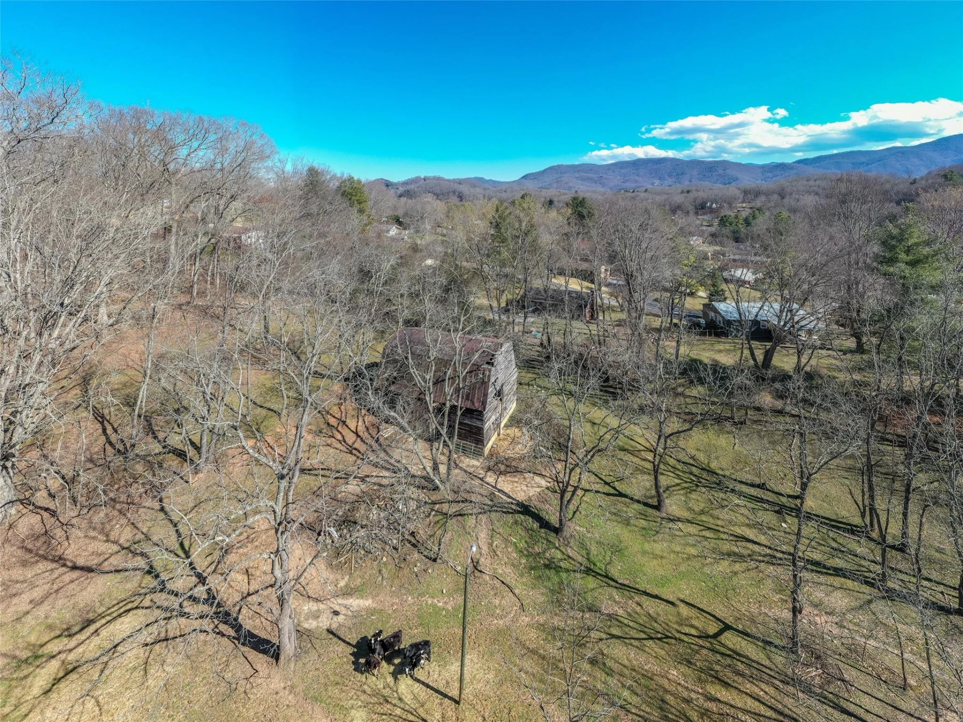 000 Russ Avenue - Photo 14