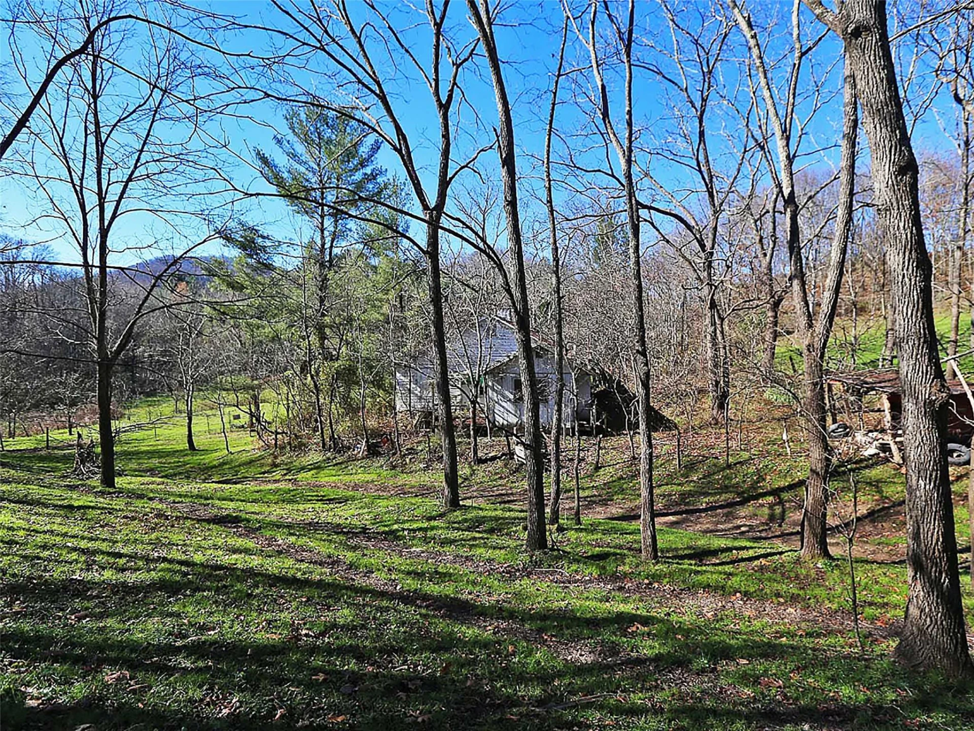 000 Russ Avenue - Photo 3