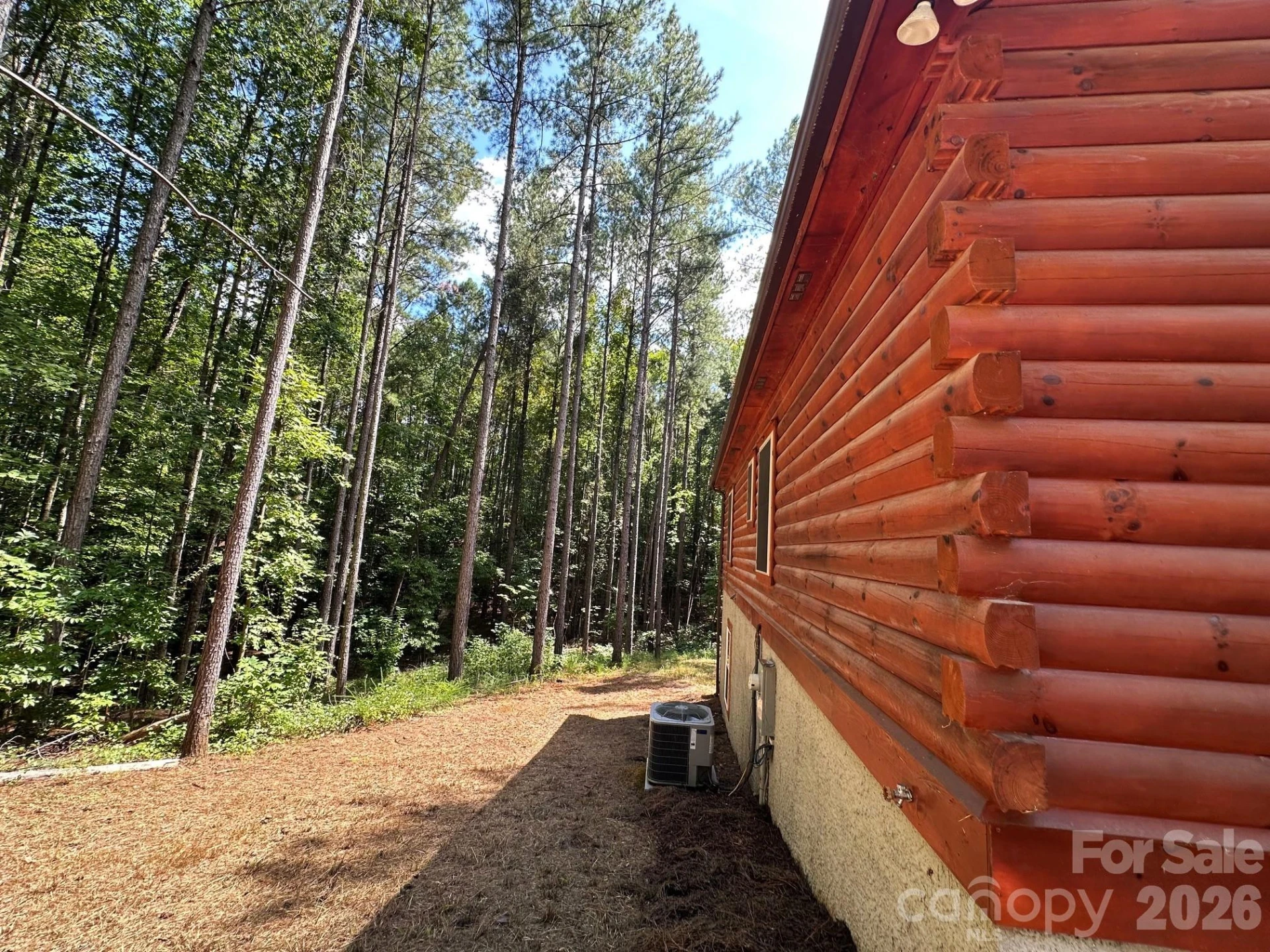 132 Chasewood Drive - Photo 3