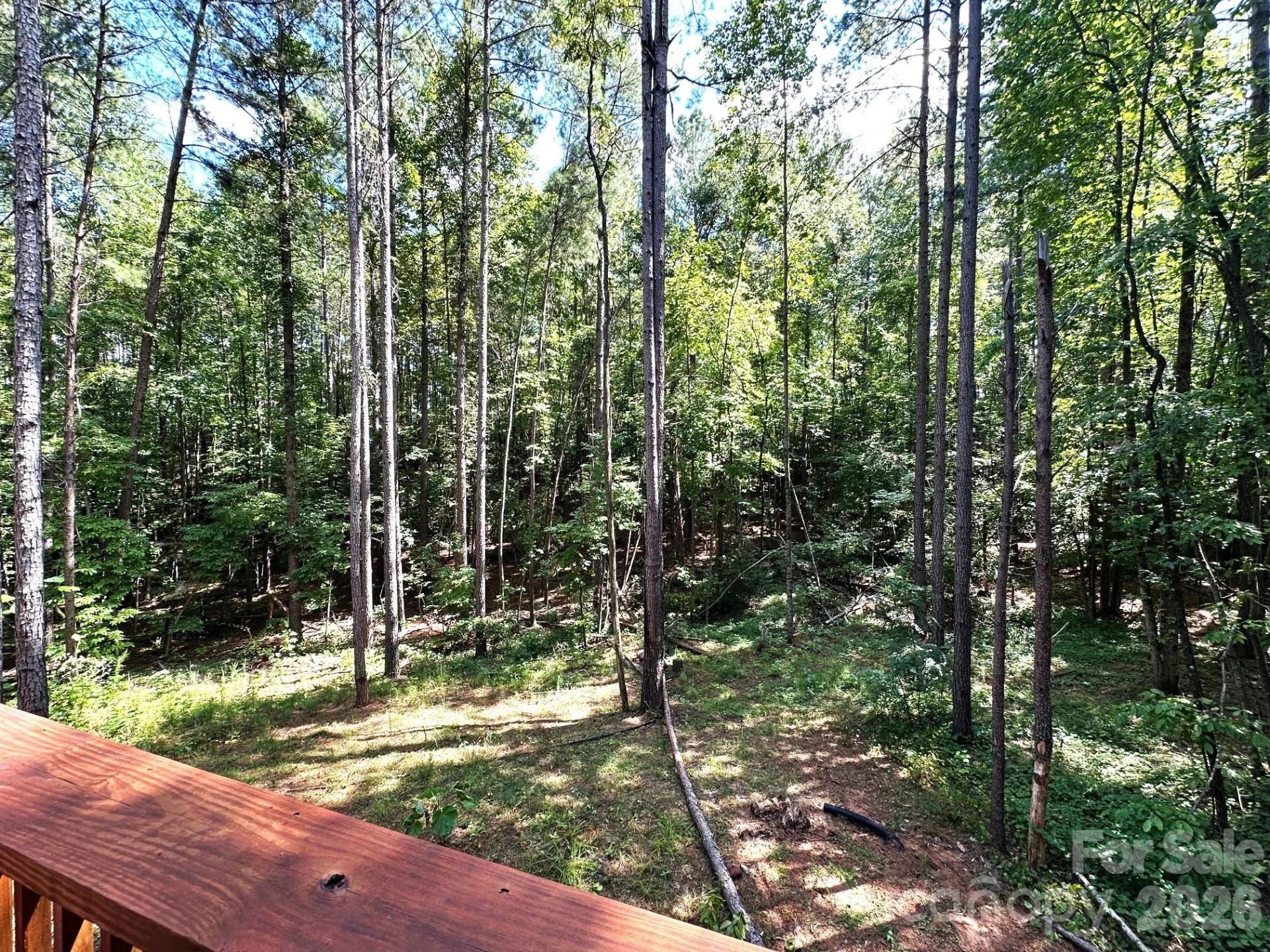 132 Chasewood Drive - Photo 36