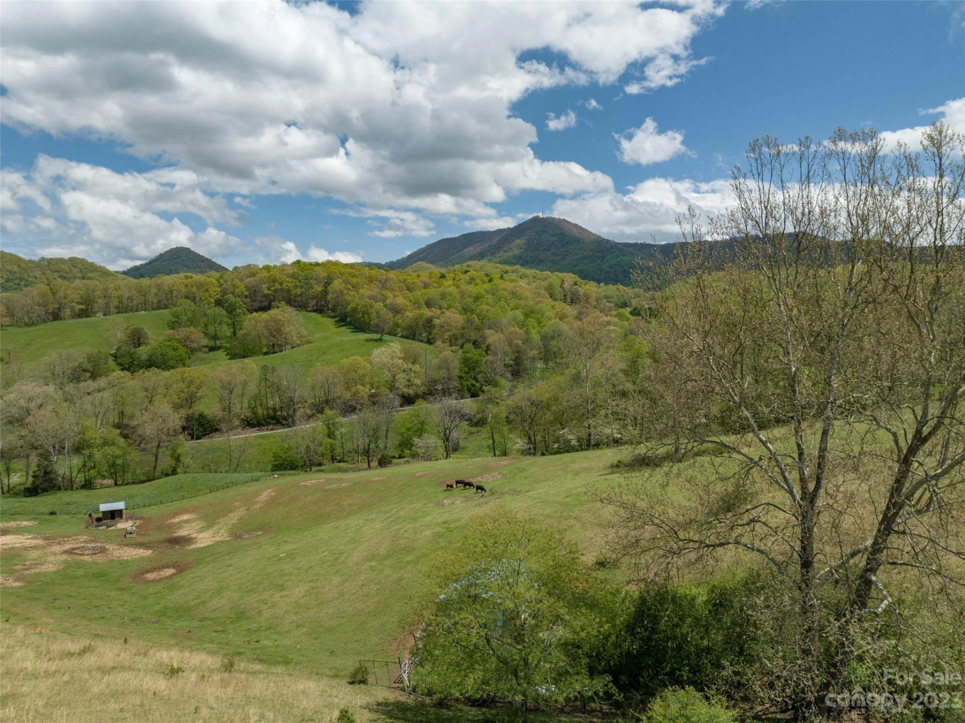 #4 Sunny Hill Lane - Photo 6