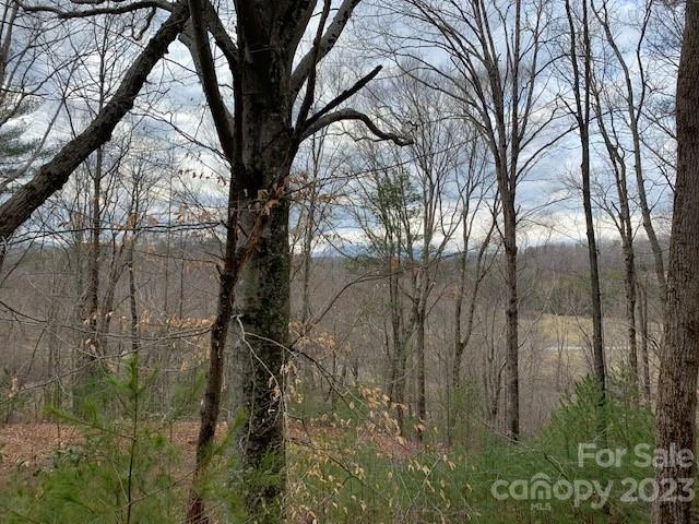 Lot 6 Theresa Terrace Meadows #6 - Photo 4
