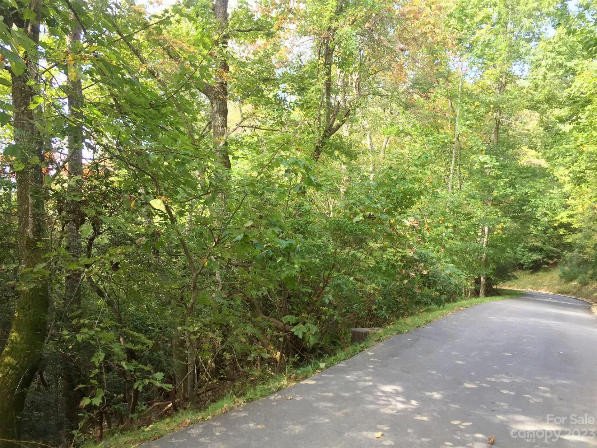 216 BENT PINE Trace #174 - Photo 13