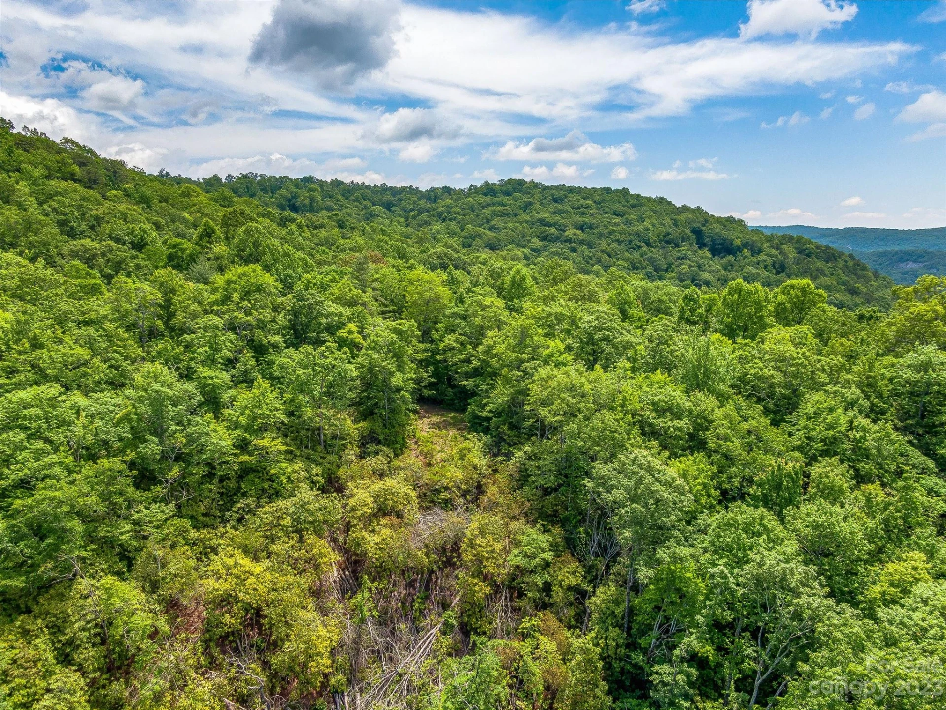 999 Big Hill Road - Photo 11
