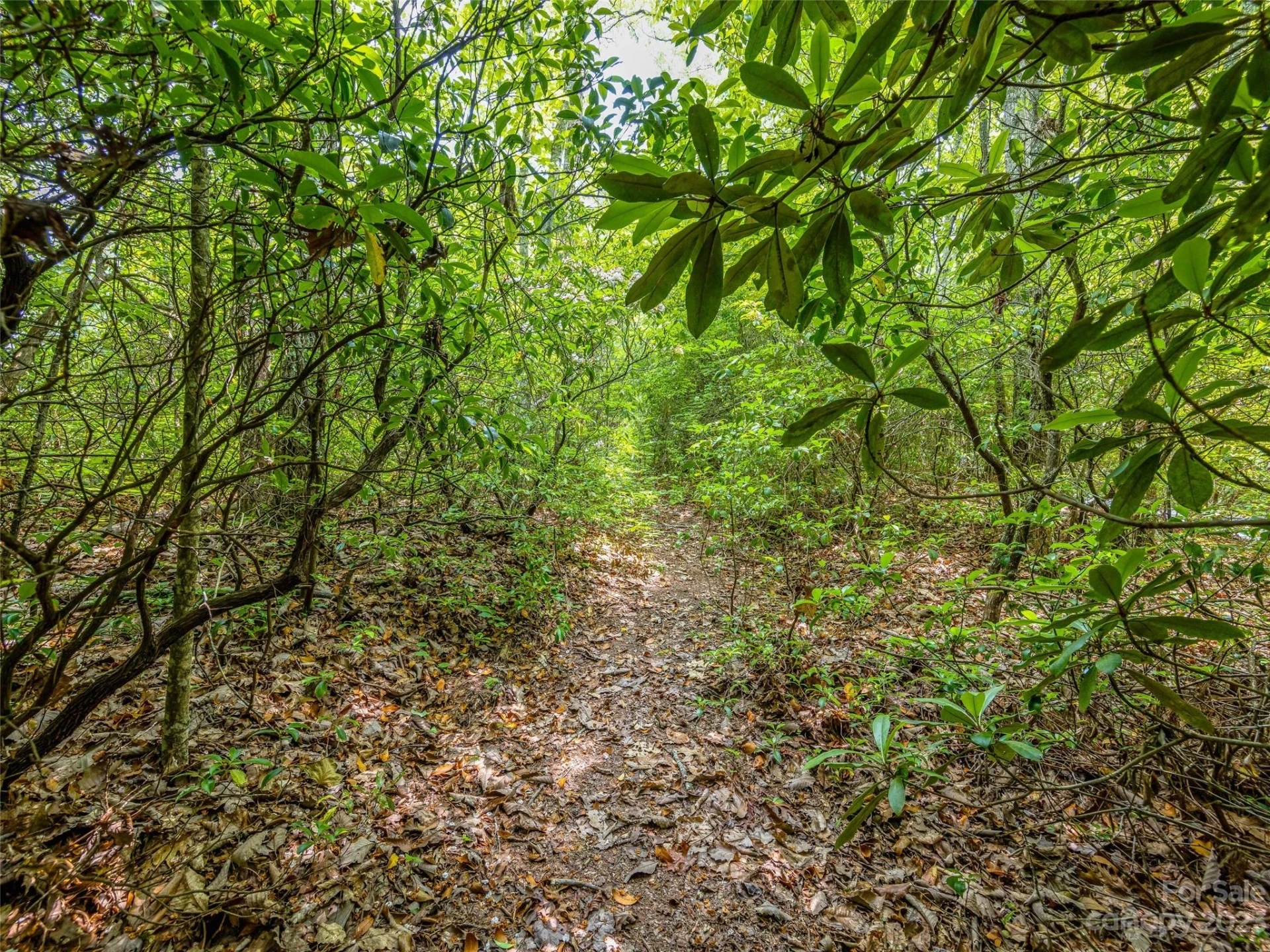 999 Big Hill Road - Photo 16