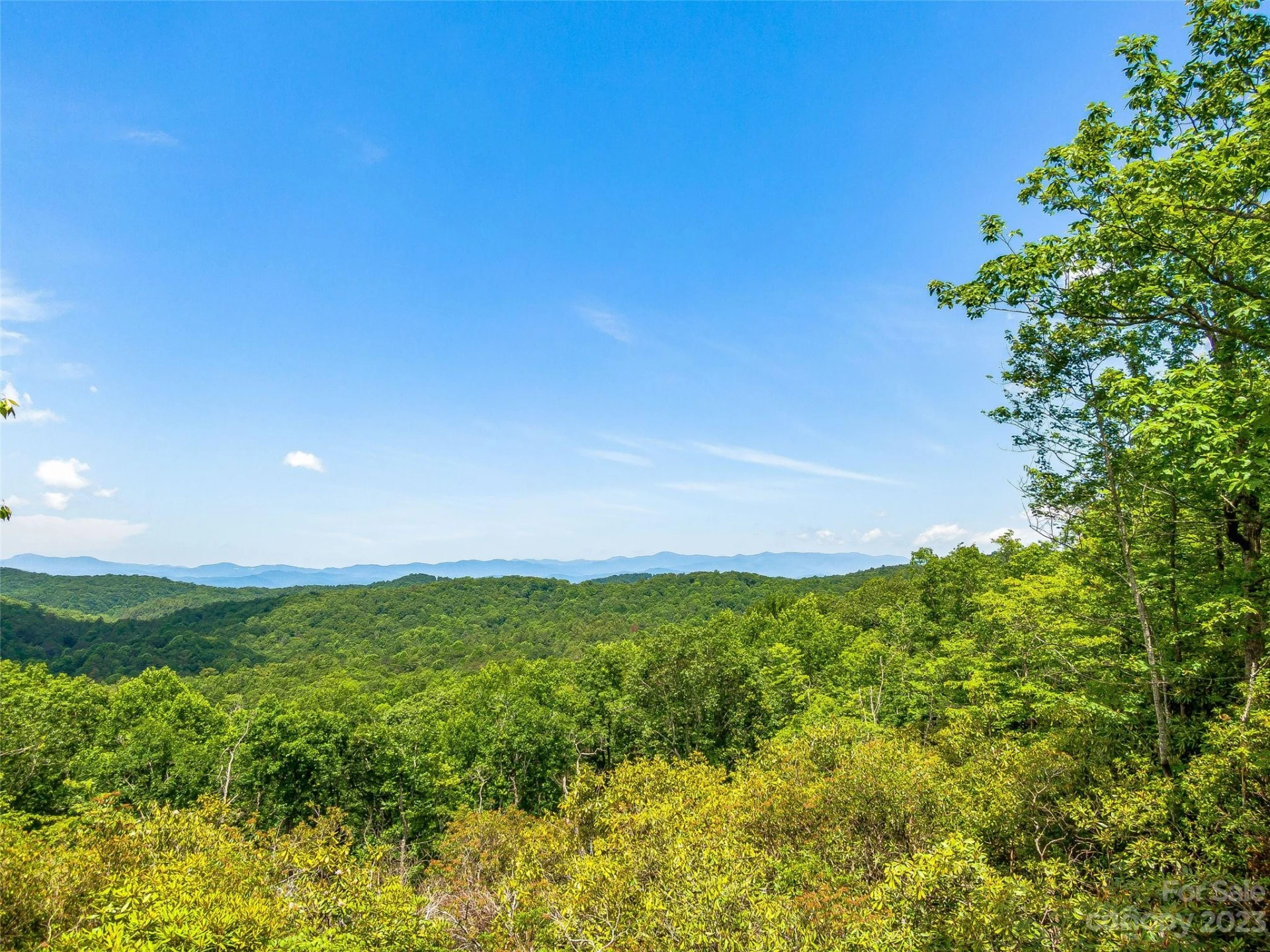 999 Big Hill Road - Photo 3