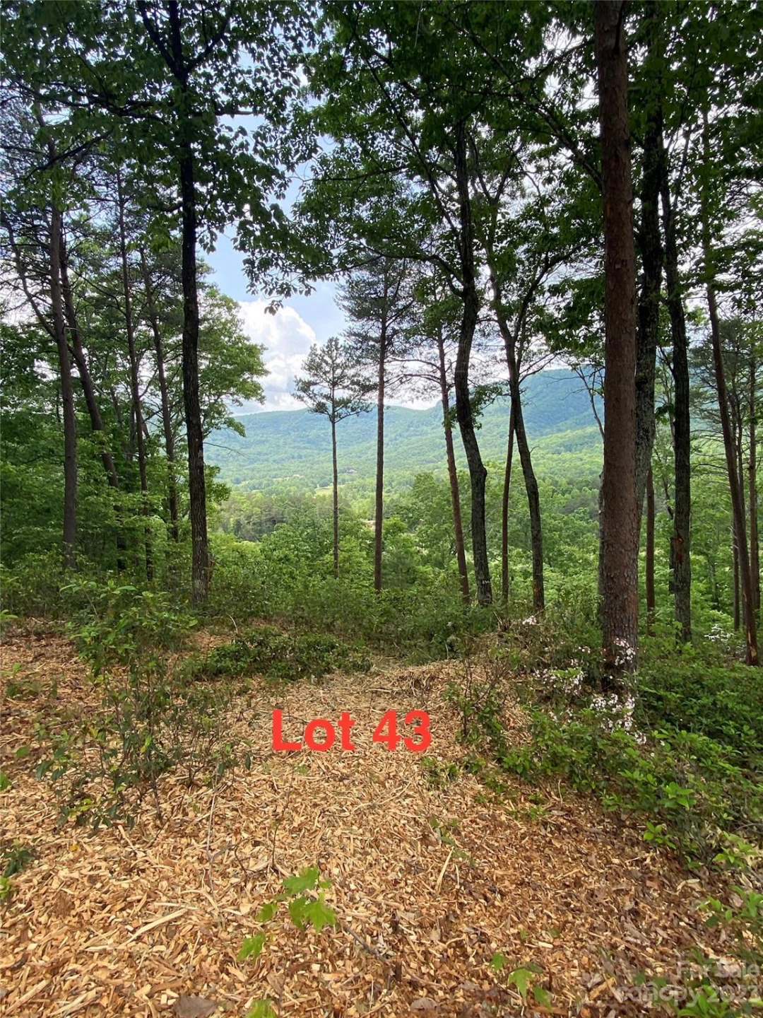 LOT 43 Deep Gap Farm Road E