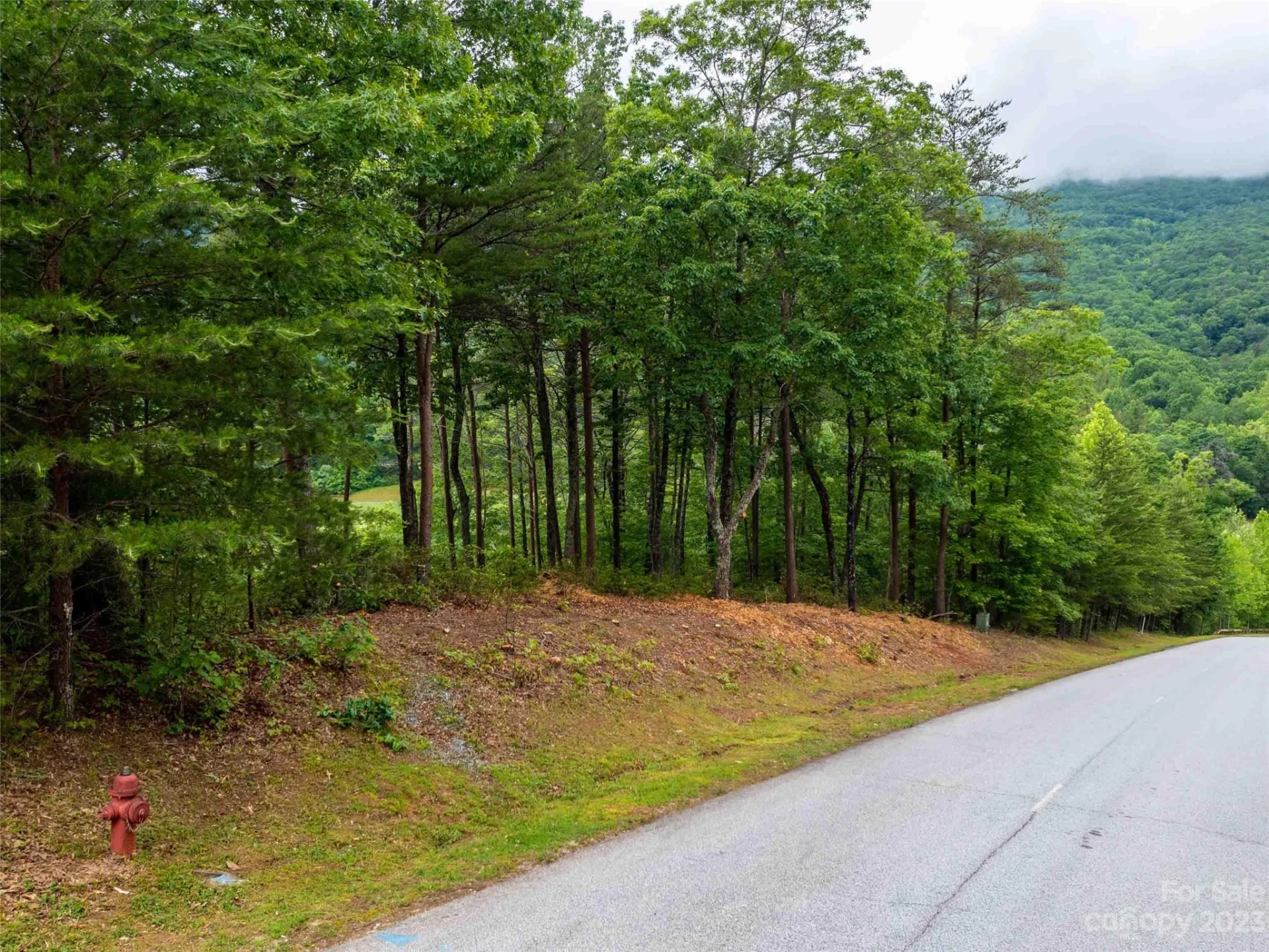 LOT 43 Deep Gap Farm Road E - Photo 3