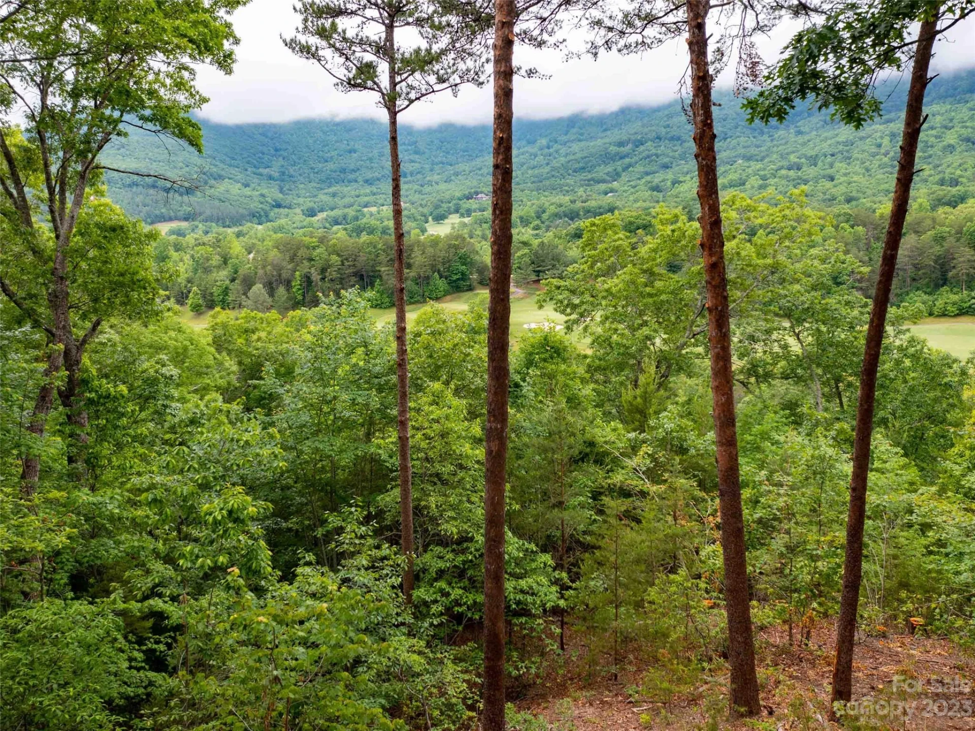 LOT 43 Deep Gap Farm Road E - Photo 5